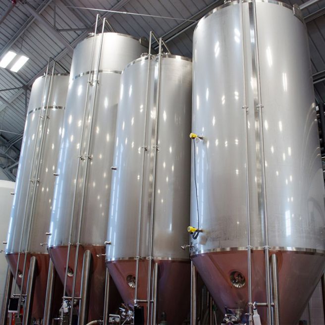 10000L(10T) Fermentation Tank